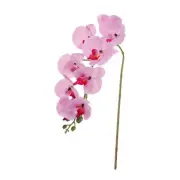 1 Pcs 38 Inch Artificial Orchid Stems Phalaenopsis Flowers Purple/Pink