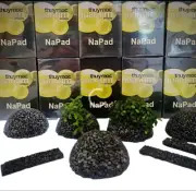 Thuymoc Plant Growing medium, Dome shape plants buce Fish Shrimp Tank Aquarium