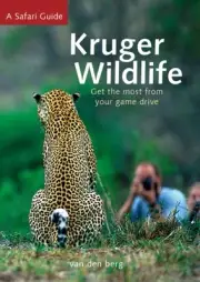 KRUGER WILDLIFE By Philip van den Berg (Paperback / softback) (9781776433100)
