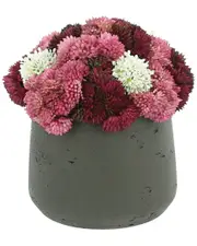 Creative Displays Pink Mauve And White Sedum