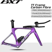BXT Carbon Time Trial Frameset Disc Brake TT Aero Racing Road Bicycle Frame