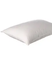 Belle Epoque Polaris Soft Down Pillow