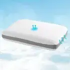 Memory Foam Pillow