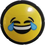 Novelty Big Laugh Sound Button