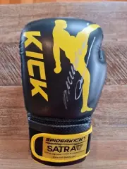 Collectable Boxing Gloves with Anderson Silva Signature