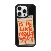 iPhone 16 Pro Mirror Case MagSafe Compatible The Like Really Spicy Case