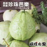 在飛比找博客來優惠-【阿成水果】高雄燕巢珍珠芭樂(11~15粒/4.8kg/盒)