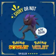 Zoroark Shiny or Non ✨ 6 IV Competitive Customizable Pokémon Scarlet Violet