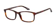 O'Neill ONO 4522 102 Women’s Glasses Tortoiseshell Size 53 - Private Health Rebate - Blue Light Block Available