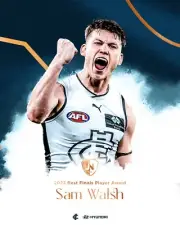 LAMINATED BIG 420mm CARLTON BLUES AFL FOOTBALL POSTER,TEAM PLAYER, BARGAIN