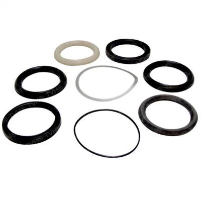 504862002 Lift Cylinder Seal Kit for Yale Forklift