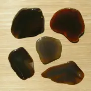 5 Geode Slices Polished End Cut Stones Mixed Natural Brown Agate Crystal 1LB Lot