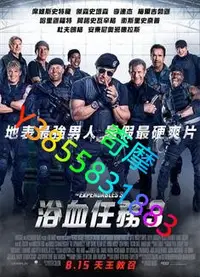 在飛比找Yahoo!奇摩拍賣優惠-DVD 專賣店 敢死隊3/浴血任務3/轟天猛將3/The E