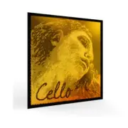 Evah Pirazzi Gold Violin String Set 4/4 -----Silver G--- E loop