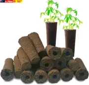 Hydroponic Grow Sponges - 24 Pcs Seed Starter Pods for Indoor and Outdoor Garden