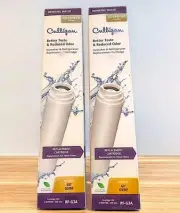 Culligan RF-G3A Advanced Filtration Ice Maker Refrigerator Cartridges (2) NEW