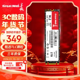 長城（Great Wall) 1TB SSD固態硬碟 M.2介面SATA協議 讀速550MB/S GW1000系列