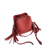 Tassel Shoulder Bag Female Vintage Crossbody Bags(Red)