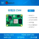 樹莓派 CM4 RASPBERRY PI CM4 計算 模塊核心板COMPUTE MODULE4