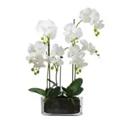 Glamorous Fusion Orchid 70cm Artificial Faux Plant Decorative Arrangement In Fla