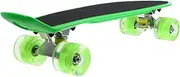 56cm Skateboard Mini Cruiser Retro Skateboards for Kids Teens Adults Light Up Flashing Wheels Skateboards for Beginners Outdoor Sports Scooter Purple(Green)