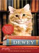 Dewey ─ The Small-Town Library Cat Who Touched the World