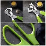 Pigeon Quail Egg Scissors Cracker Opener Cigar Cutter New Neu V2 Steel AU