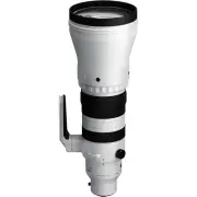 Sigma 300-600MM F/4 DG OS F/Sony Mount