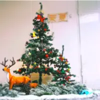 在飛比找momo購物網優惠-居家聖誕樹 150公分聖誕樹 節慶佈置 聖誕樹裝飾品(含裝飾