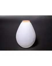 Smart & Green Vessel 2 Bluetooth Indoor/Outdoor LED Lamp