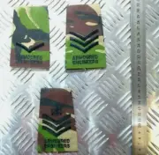 Woodland DPM Camo Armoured Engineers Rank Slides Assorted - NEW
