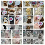 LARGE QUANTITIES BULK PLUSH ANIMAL MONKEY RETRIEVER HUSKY CAT ELEPHANT LLAMA ETC