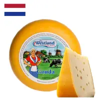 在飛比找博客來優惠-《GOOD WELL》荷蘭高達乳酪-- 200g