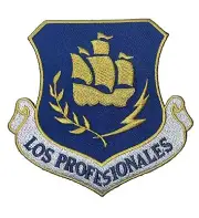 LOS PROFESIONALES 24th Special Operations Wing Patch – Plastic Backing