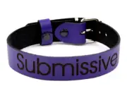 PURPLE Beautiful Customizable Engraved 'Submissive' Collar HOT Col25EngPpl