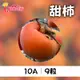 梨山公主 甜柿10A 9粒(5台斤)