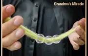 Grandma's Miracle Rope Through Ball Magic Tricks Magician Props Stage Illusions