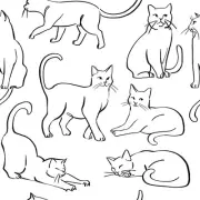 Cat Poses Black and White Peel and Stick Wallpaper, RMWS1278