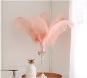 Peach Blush Pink 12 Pieces Ostrich Feather 12-14 inches Dozen Wedding Centerpiec