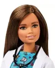 Barbie Veterinarian Doll Brunette Lab Coat GJL53 - Barbie Pet Vet Doll