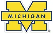 Michigan Sticker University of Mich Vinyl Decal Yellow (Choose Your Size) Football Michigan Wolverine Vinyl Sticker Die Сut, M Team Logo (7 inch - Longer Side)