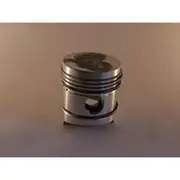 Austral Piston Set - P1178 040