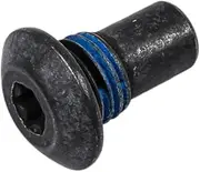 GM Genuine Parts 11611601 M10x1.25x15 Steering Column Telescope Actuator Bolt