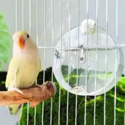 Portable Automatic Feeders Dispenser Hanging Water Bottles For Birds Drinking.