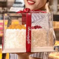 在飛比找Yahoo!奇摩拍賣優惠-全透明蛋糕盒4 6 8 10寸加高雙層蛋糕盒方形塑料生日蛋糕