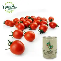 在飛比找momo購物網優惠-【iPlant】易開罐頭小農場-觀賞蕃茄(內含種子培養土肥料