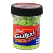 Berkley Gulp Maggot Soft Plastic Fishing Lure Jar 1-1/2 Ounce Chartreuse 1092974