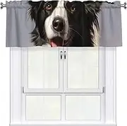 LHBWCVN Border Collie Valances for Windows, Rod Pocket Window Treatment Drapes Farmhouse Kitchen Curtains Short Blackout Window Curtains for Living Room Bedroom Decor 54x18 Inch