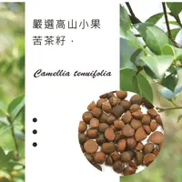 在飛比找蝦皮購物優惠-Oiltea Camellia Oil 冷壓苦茶油 苦茶籽油