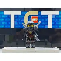 在飛比找蝦皮購物優惠-【TCT】 LEGO 樂高 NINJAGO 旋風忍者 綠忍者